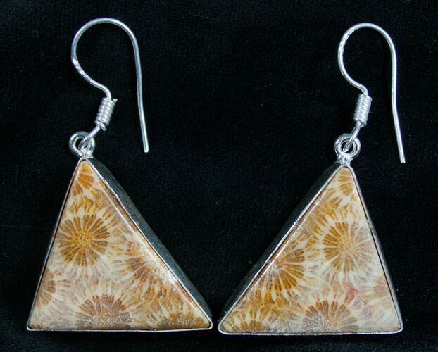 Beautiful Fossil Coral Sunburst Earrings #7909